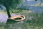 Barque coulee
